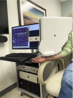 In vivo imaging of human skin using FLAME